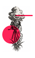 Engraving of a samurai armor on a film tripod, a cloud above and an agave at its roots